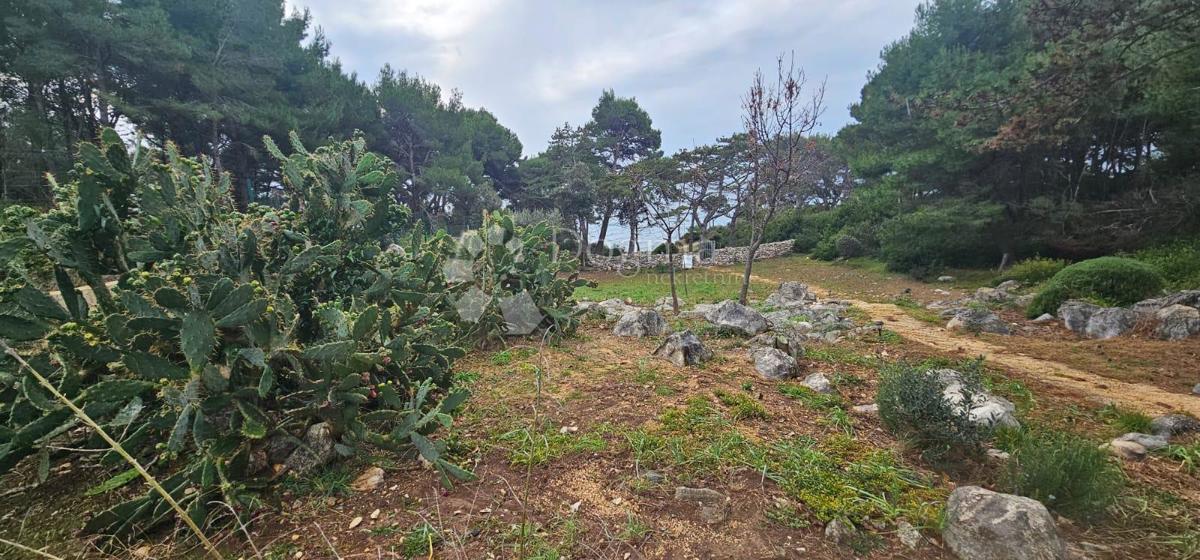 Hiša Kampor, Rab, 16.340m2