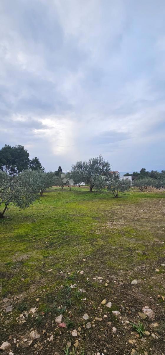 Hiša Kampor, Rab, 16.340m2