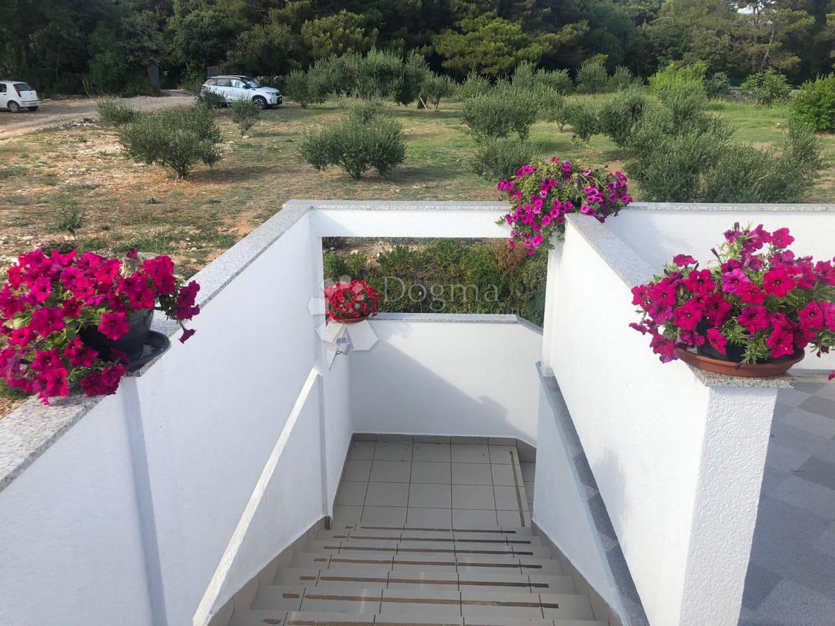 Hiša Kampor, Rab, 16.340m2