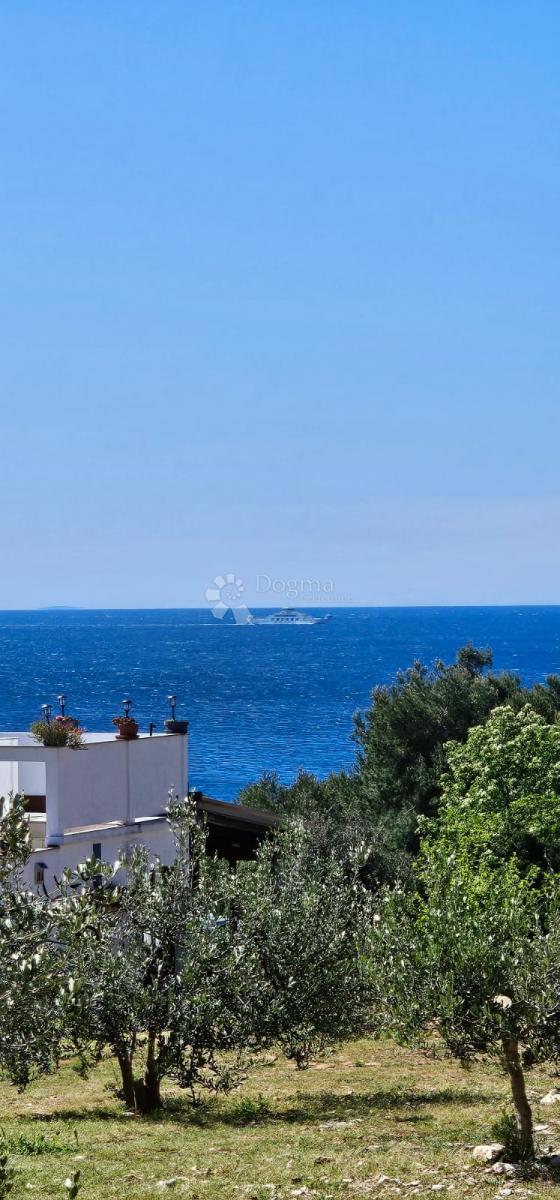 Hiša Kampor, Rab, 16.340m2