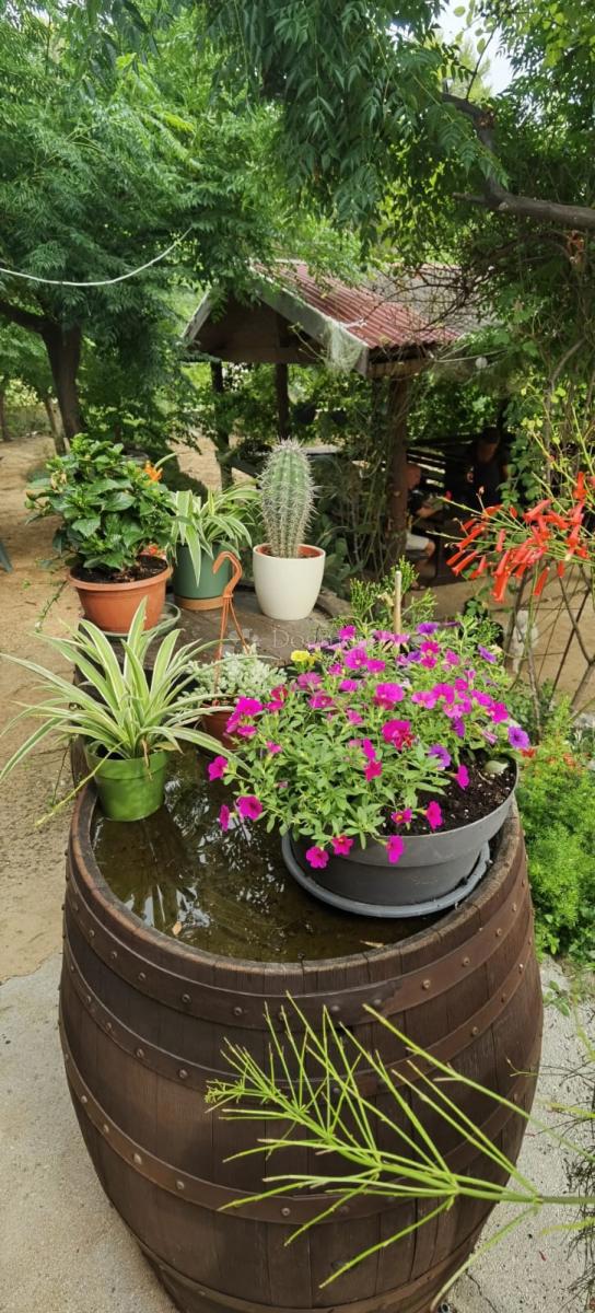 Hiša Kampor, Rab, 16.340m2