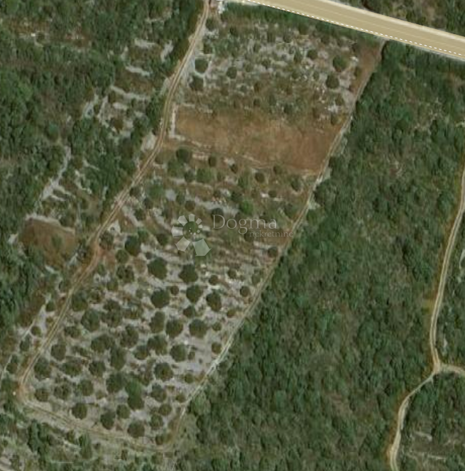 Kmetijsko zemljišče Svinca, Marina, 17.035m2