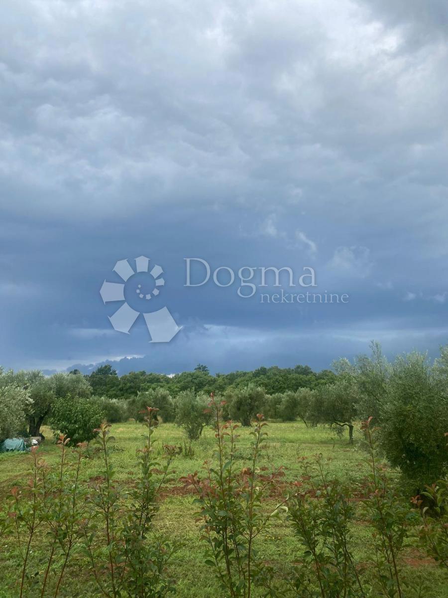 Hiša Karigador, Brtonigla, 185m2