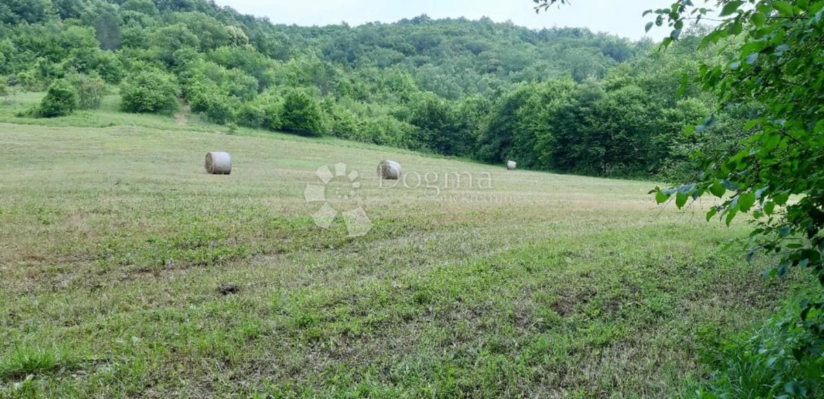 Zazidljivo zemljišče Stari Pazin, Pazin, 46.093m2