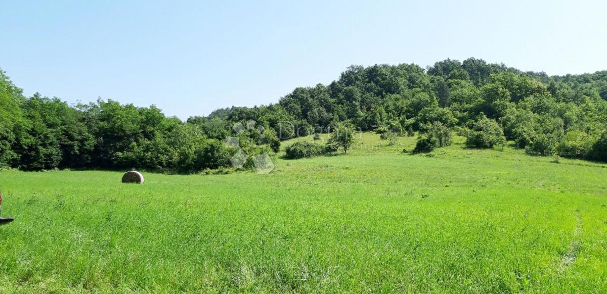 Zazidljivo zemljišče Stari Pazin, Pazin, 46.093m2