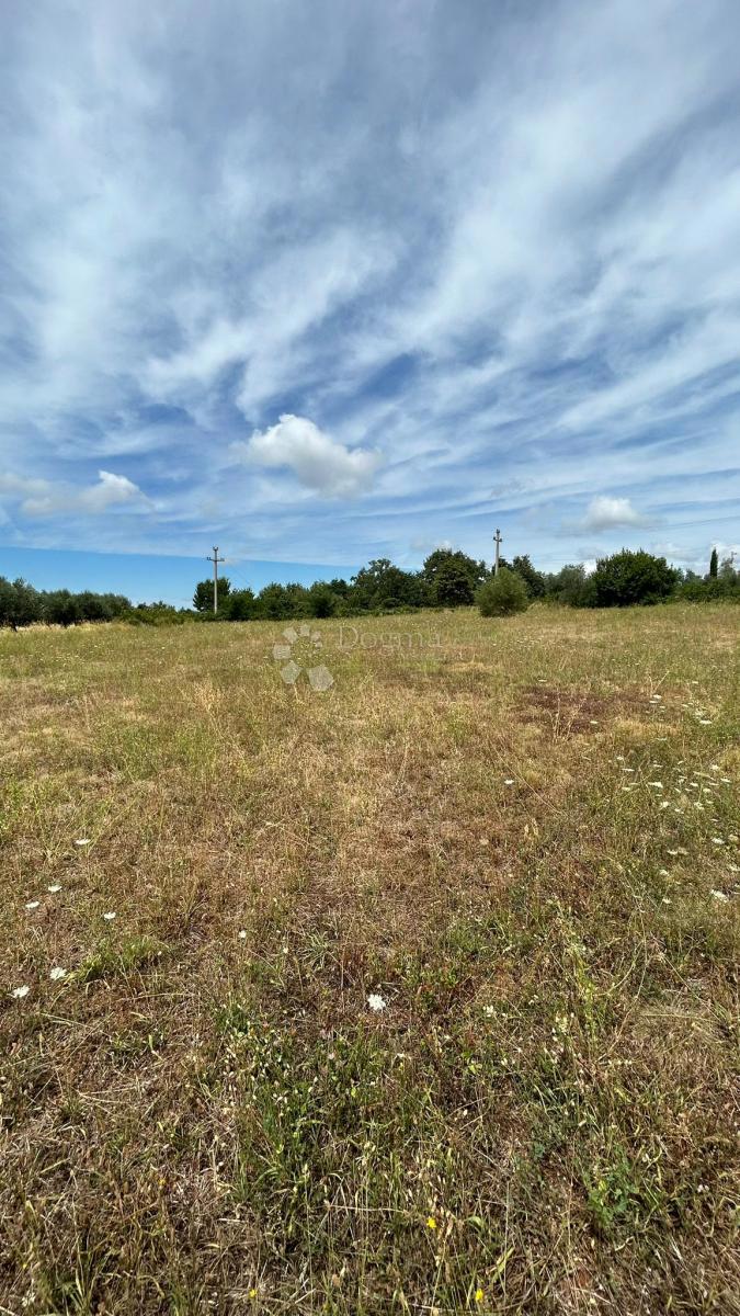 Stavbno zemljišče 1050 m² ob asfaltu, Sveti Lovreč