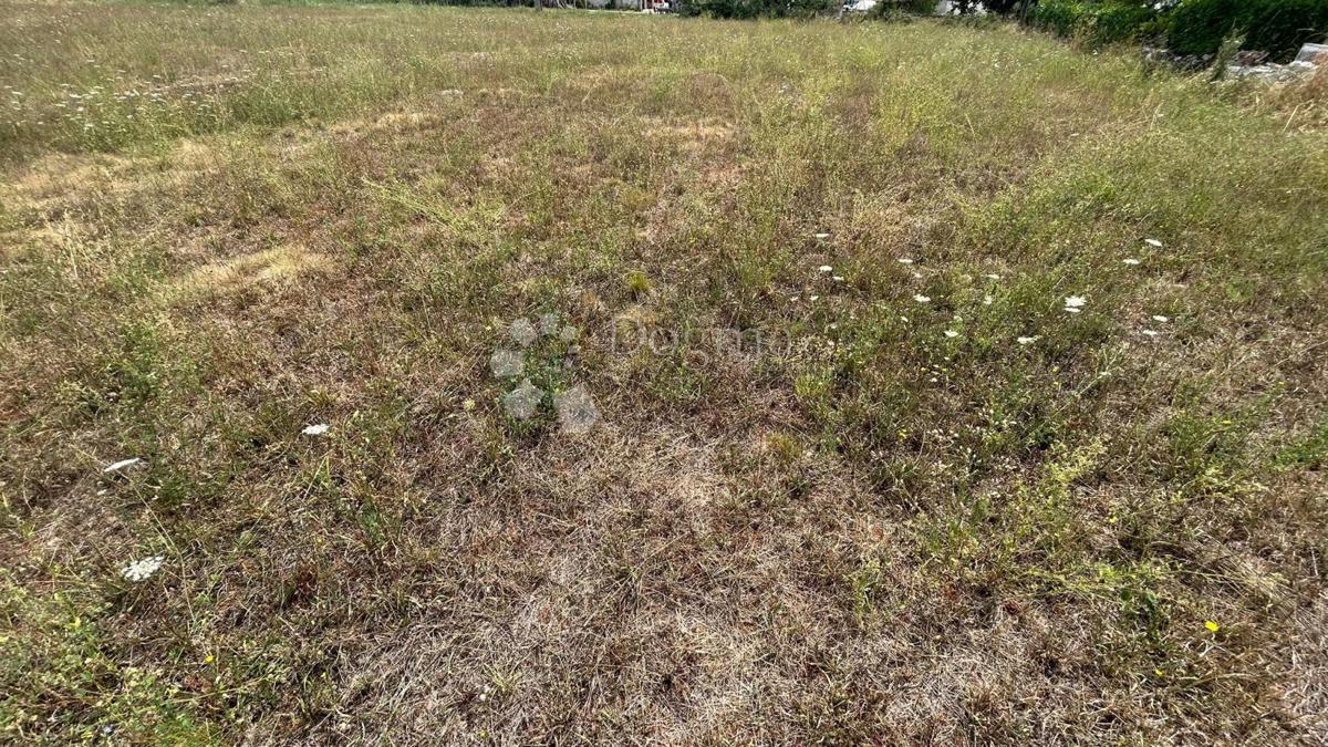 Stavbno zemljišče 1050 m² ob asfaltu, Sveti Lovreč