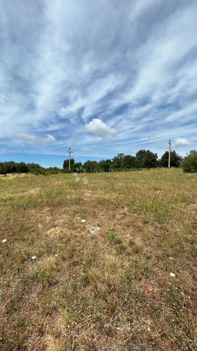 Stavbno zemljišče 1050 m² ob asfaltu, Sveti Lovreč