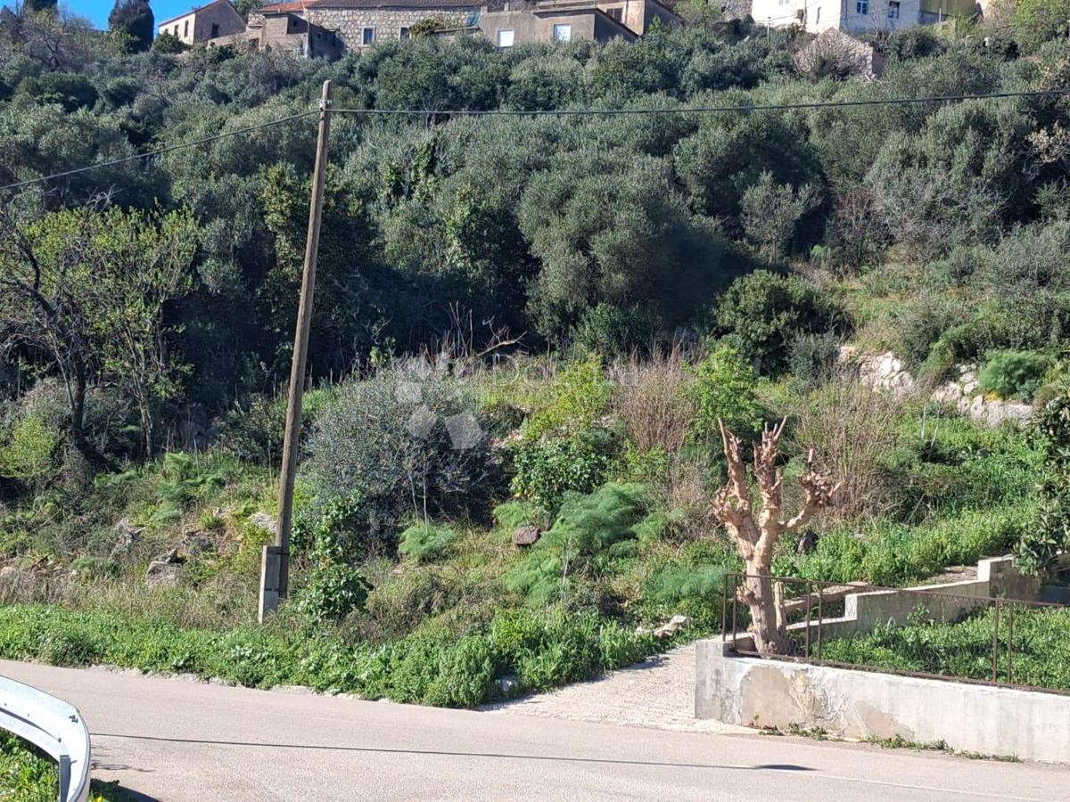 Zazidljivo zemljišče Čara, Korčula, 1.216m2