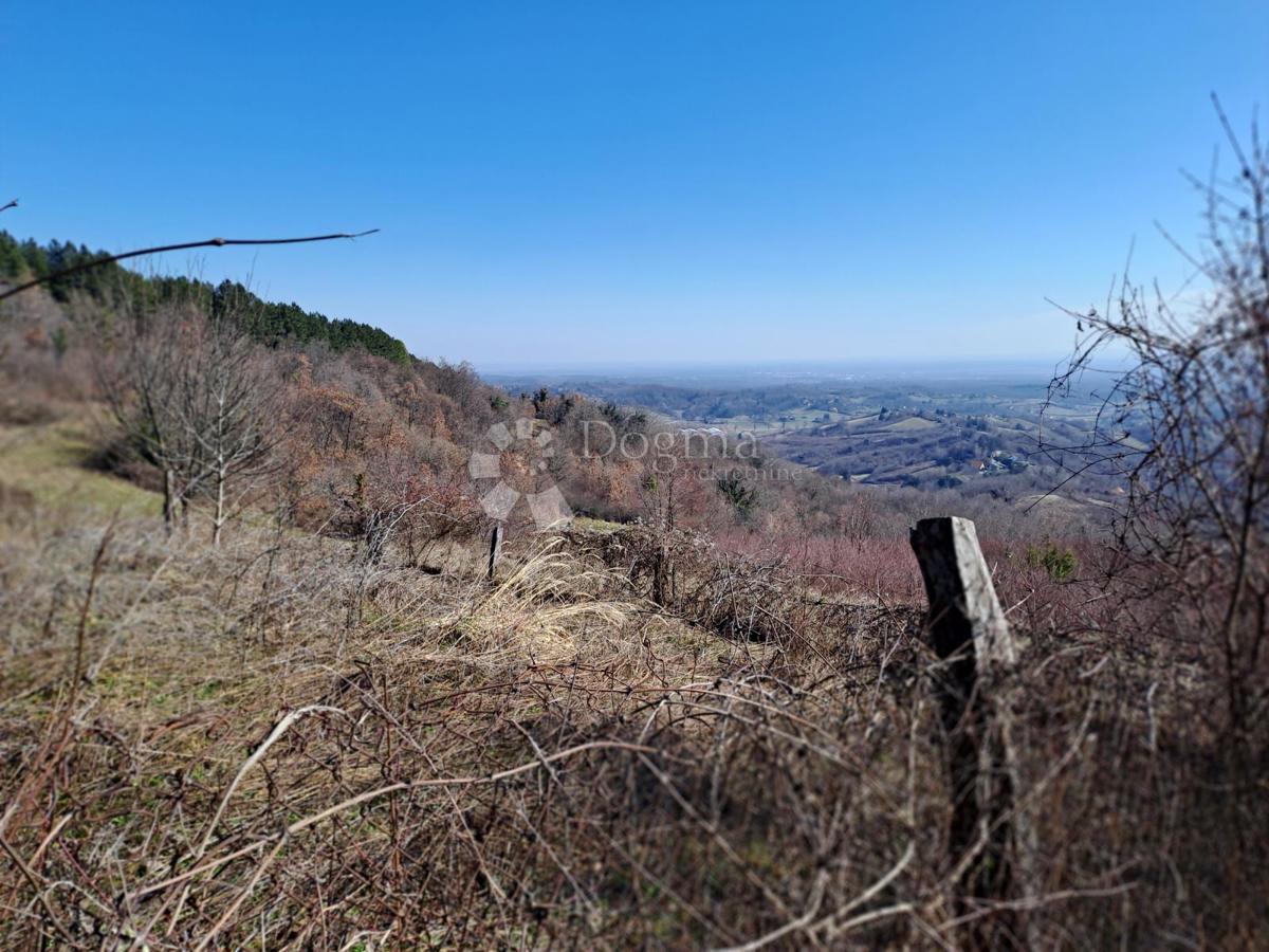 Hiša Slavetić, Jastrebarsko - Okolica, 80m2