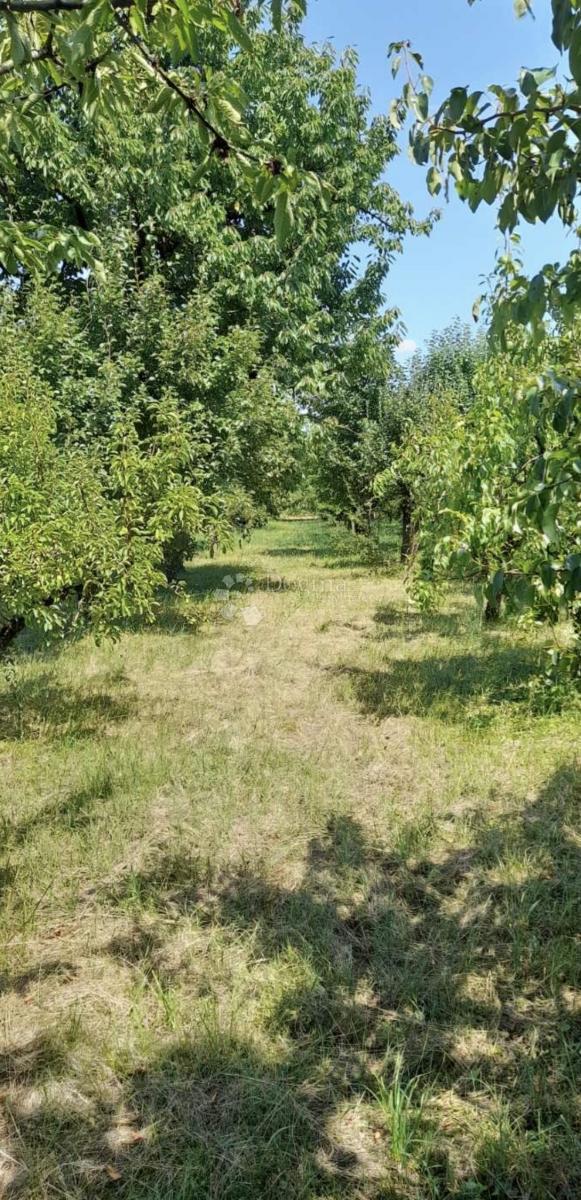 Hiša Našice, 279m2