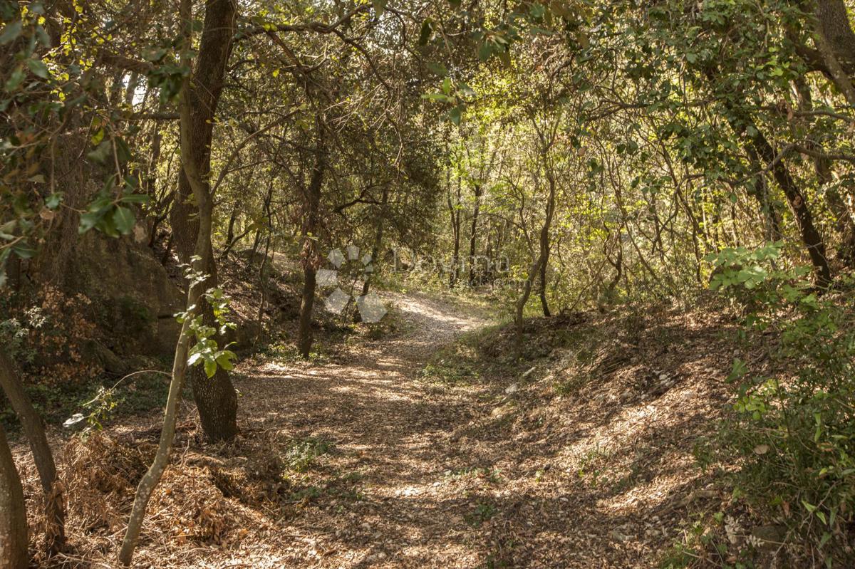 Hiša Centar, Pula, 199m2