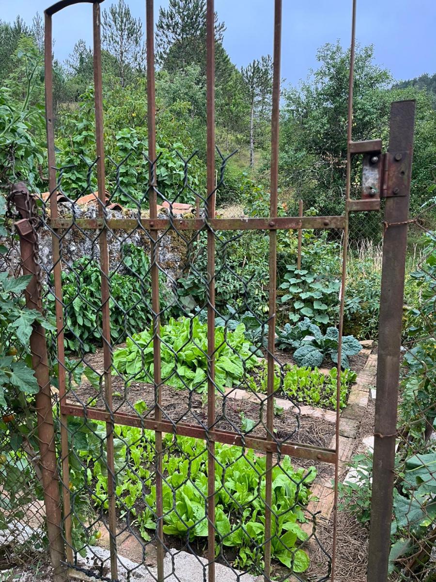 Hiša Dane, Lanišće, 50m2