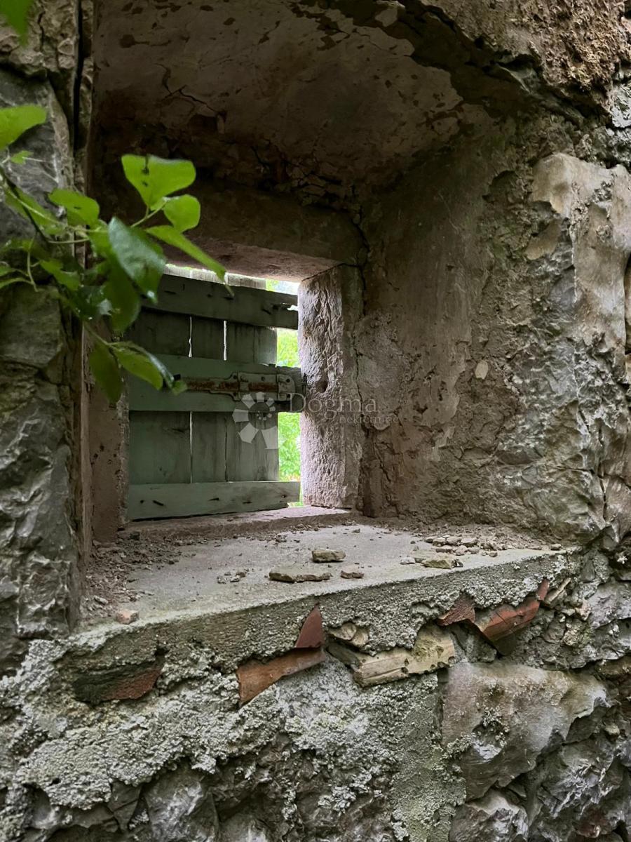 Hiša Dane, Lanišće, 50m2