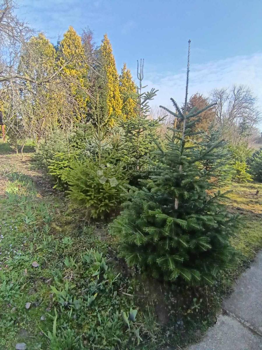 Hiša Kapinci, Sopje, 60m2