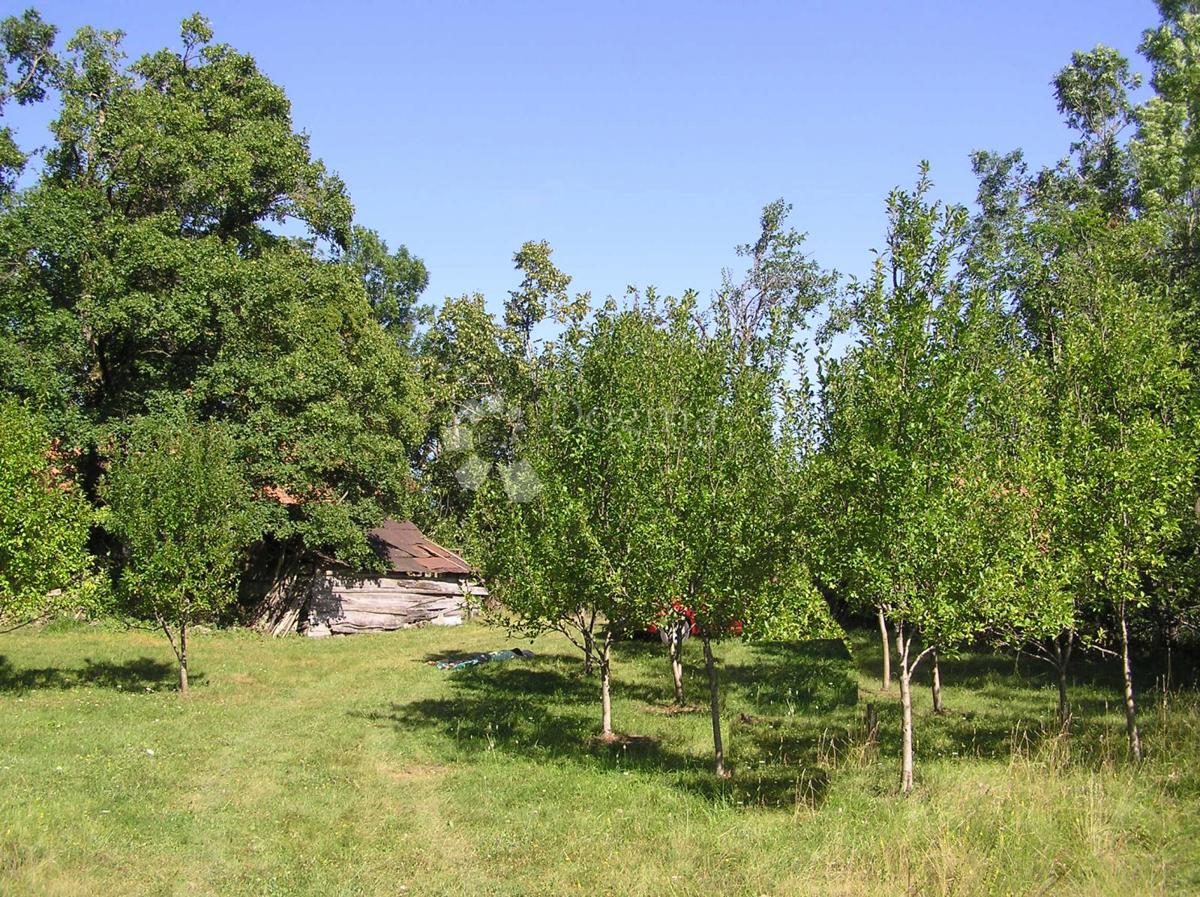Zazidljivo zemljišče Rudopolje Bruvanjsko, Gračac, 58.188m2