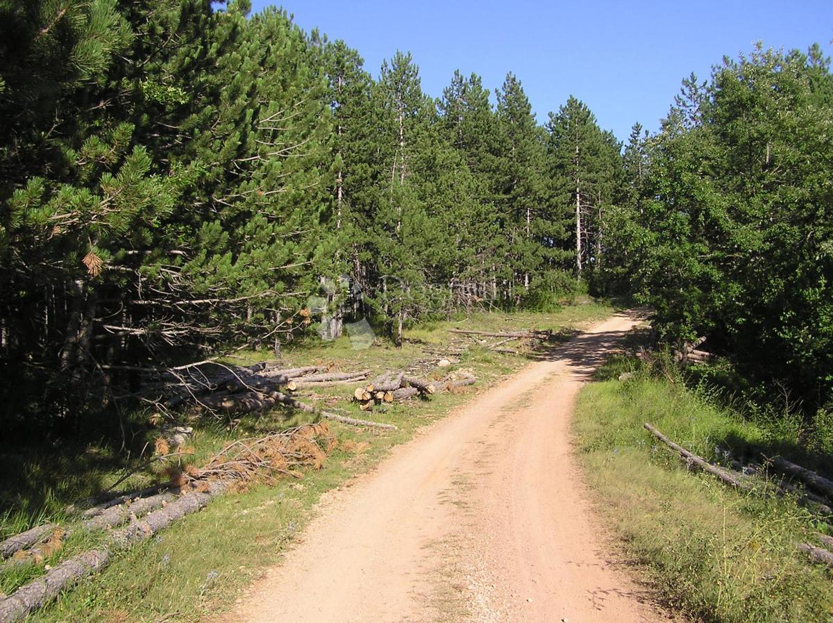 Zazidljivo zemljišče Rudopolje Bruvanjsko, Gračac, 58.188m2
