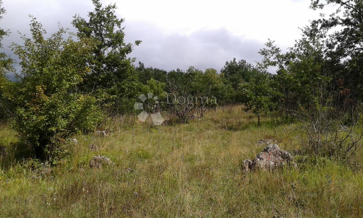 Zazidljivo zemljišče Rudopolje Bruvanjsko, Gračac, 58.188m2