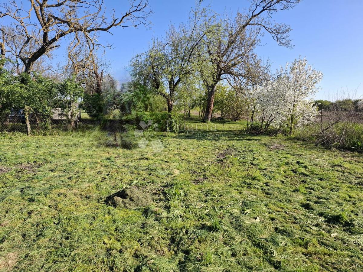 Hiša Stari Mikanovci, 848m2