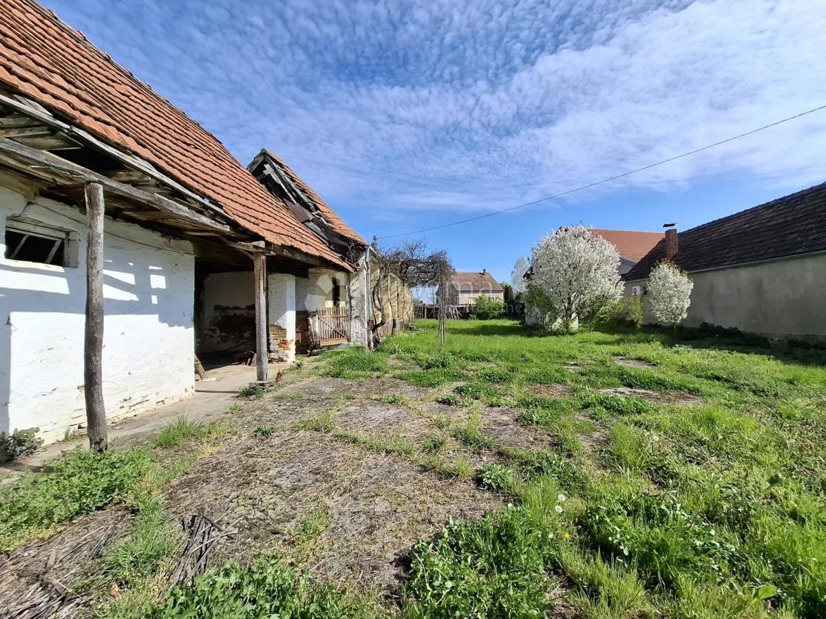 Hiša Novi Mikanovci, Stari Mikanovci, 2.314m2