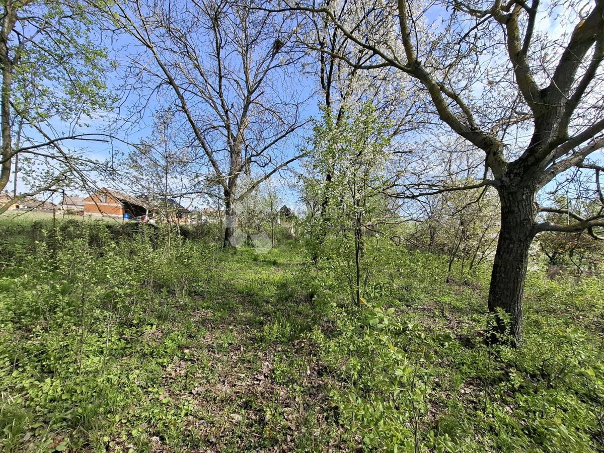 Hiša Novi Mikanovci, Stari Mikanovci, 2.314m2