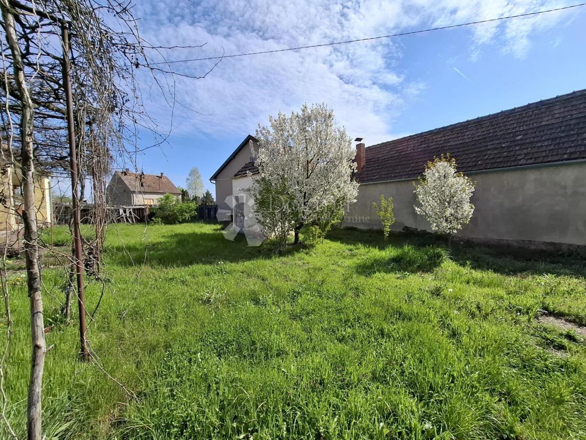 Hiša Novi Mikanovci, Stari Mikanovci, 2.314m2