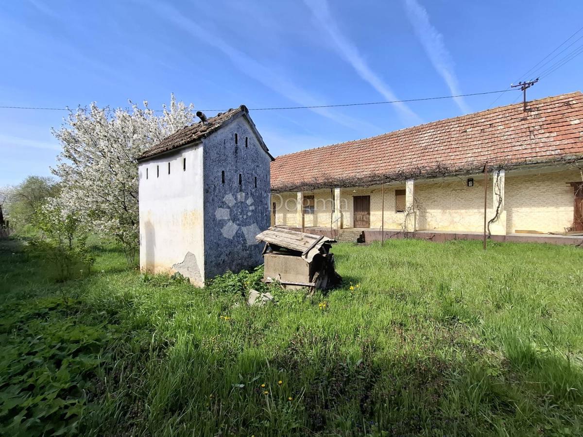 Hiša Novi Mikanovci, Stari Mikanovci, 2.314m2