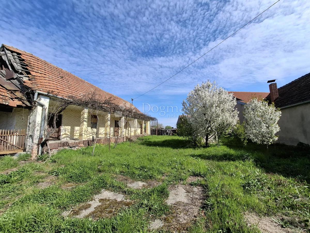 Hiša Novi Mikanovci, Stari Mikanovci, 2.314m2