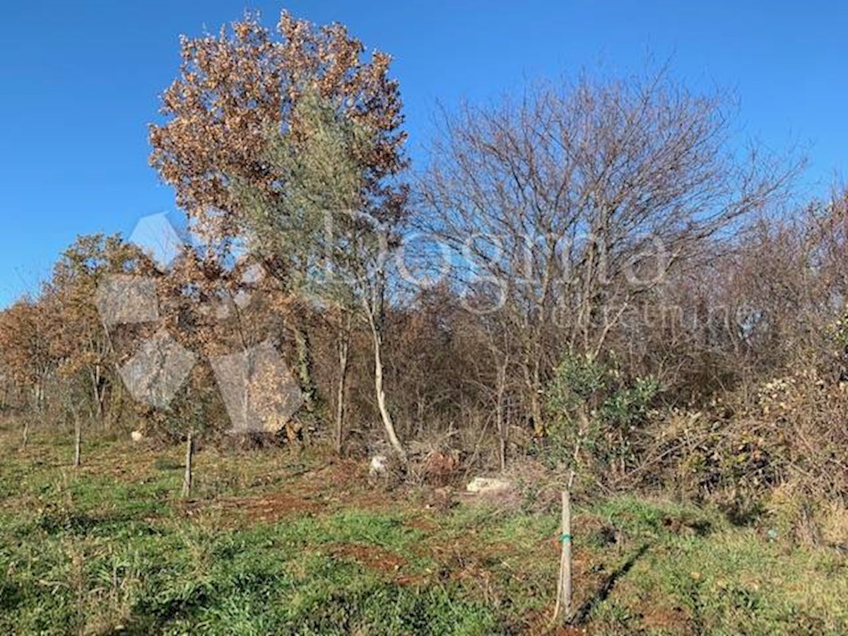 Zemljišče Vabriga, Tar-Vabriga, 3.554m2