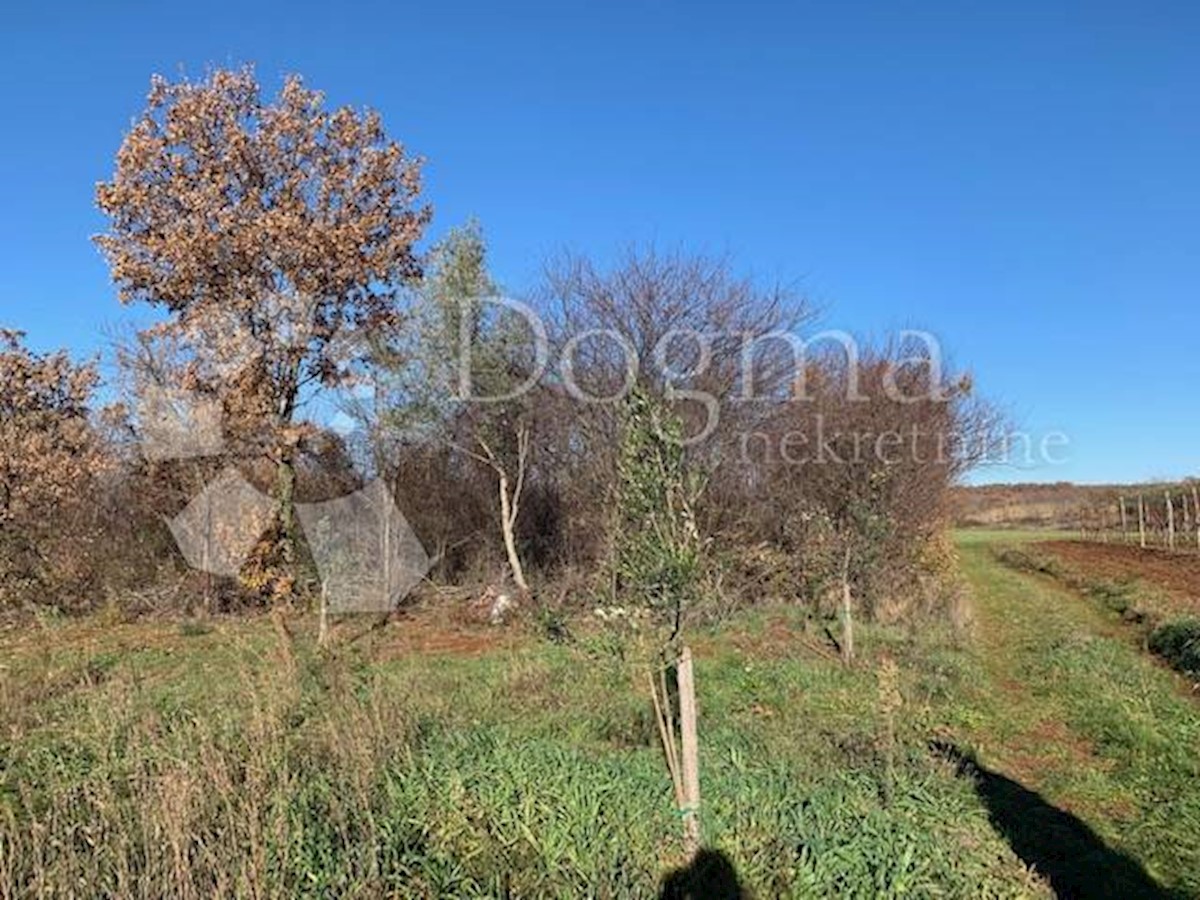 Zemljišče Vabriga, Tar-Vabriga, 3.554m2
