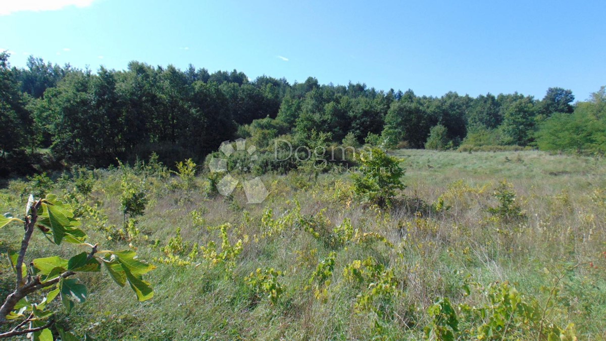 Zemljišče Lindar, Pazin - Okolica, 5.961m2