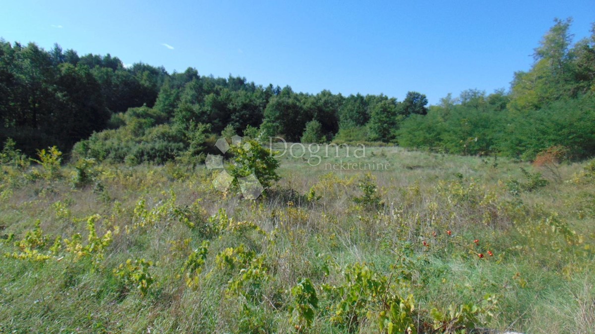 Zemljišče Lindar, Pazin - Okolica, 5.961m2