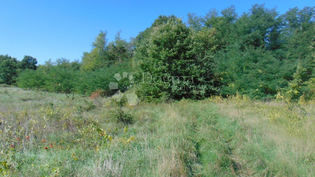 Zemljišče Lindar, Pazin - Okolica, 5.961m2