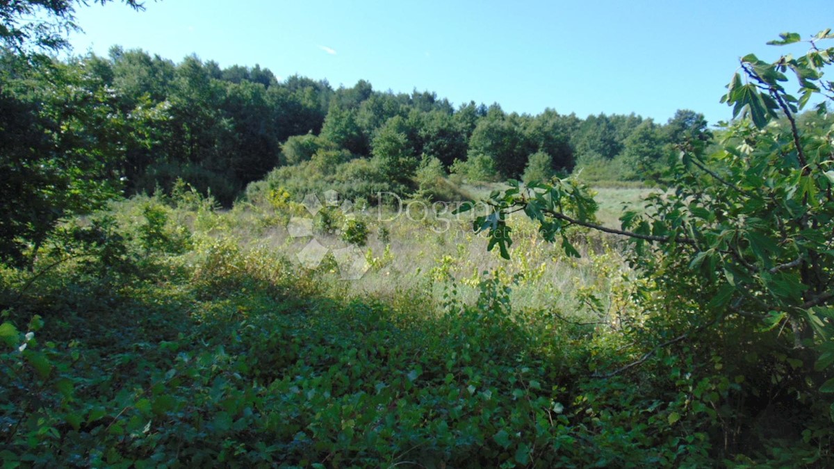 Zemljišče Lindar, Pazin - Okolica, 5.961m2