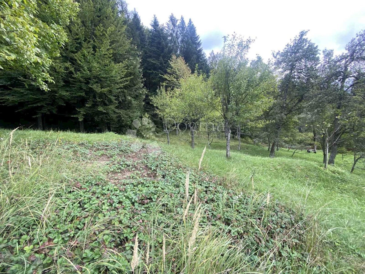 Zemljišče Divjake, Skrad, 3.600m2