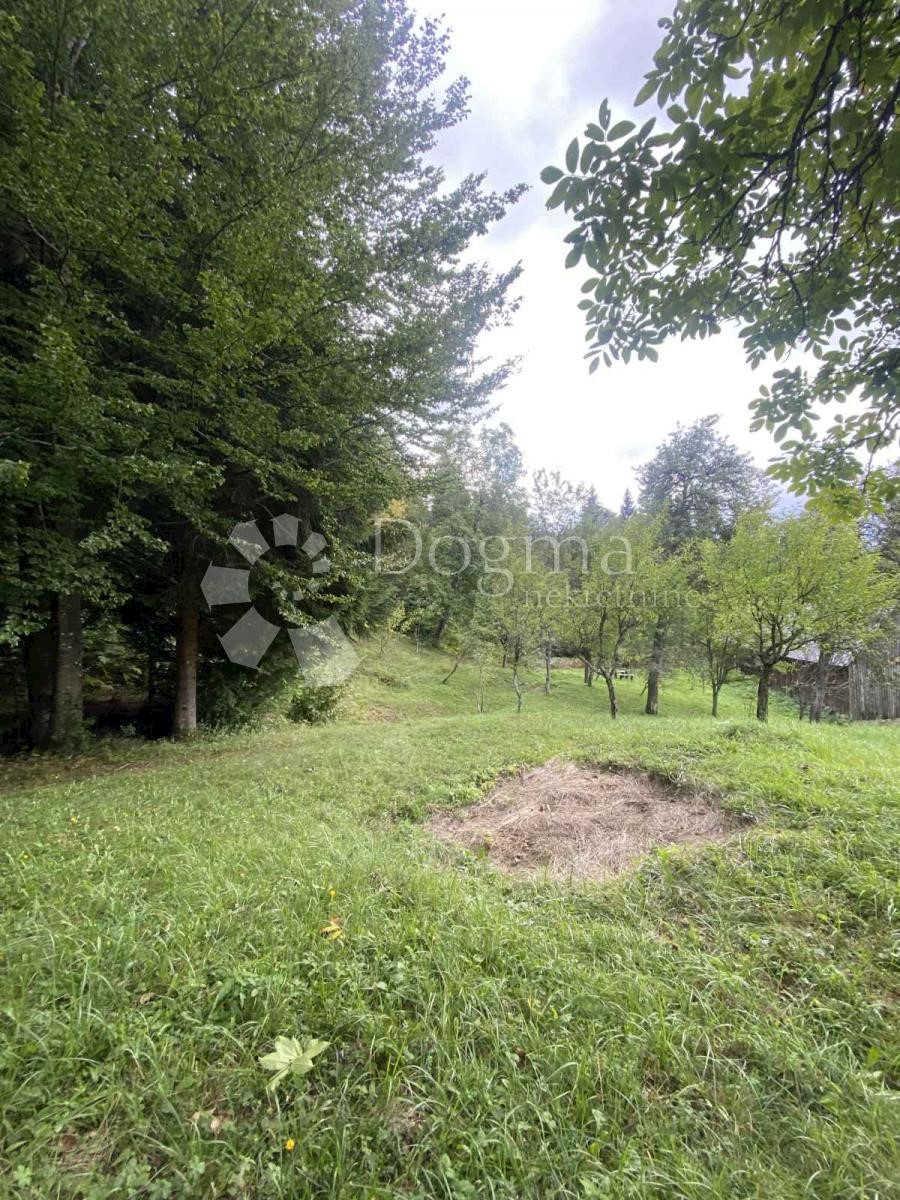 Zemljišče Divjake, Skrad, 3.600m2