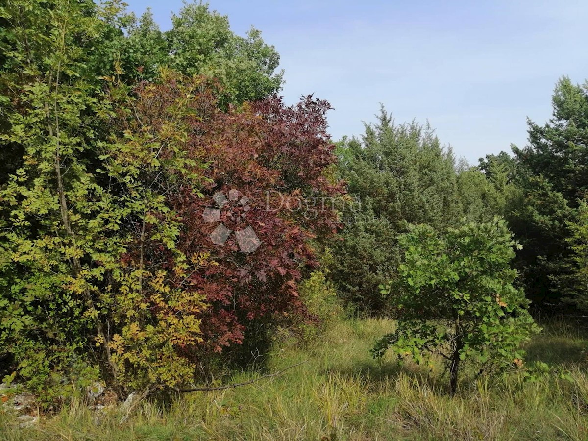 Zemljišče Bokordići, Svetvinčenat, 34.000m2