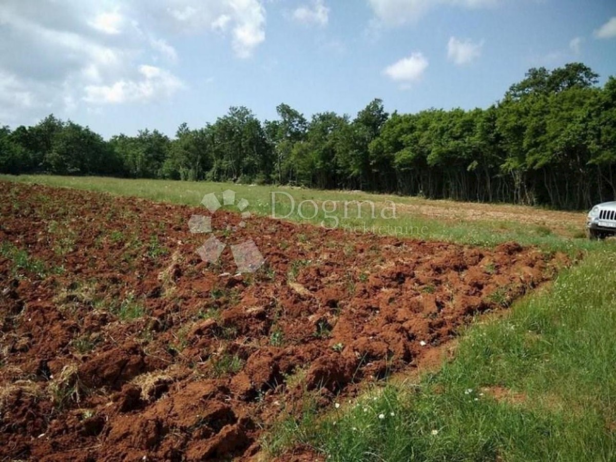 Zemljišče Bokordići, Svetvinčenat, 34.000m2