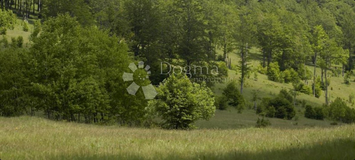 Zemljišče Stari Laz, Ravna Gora, 38.516m2