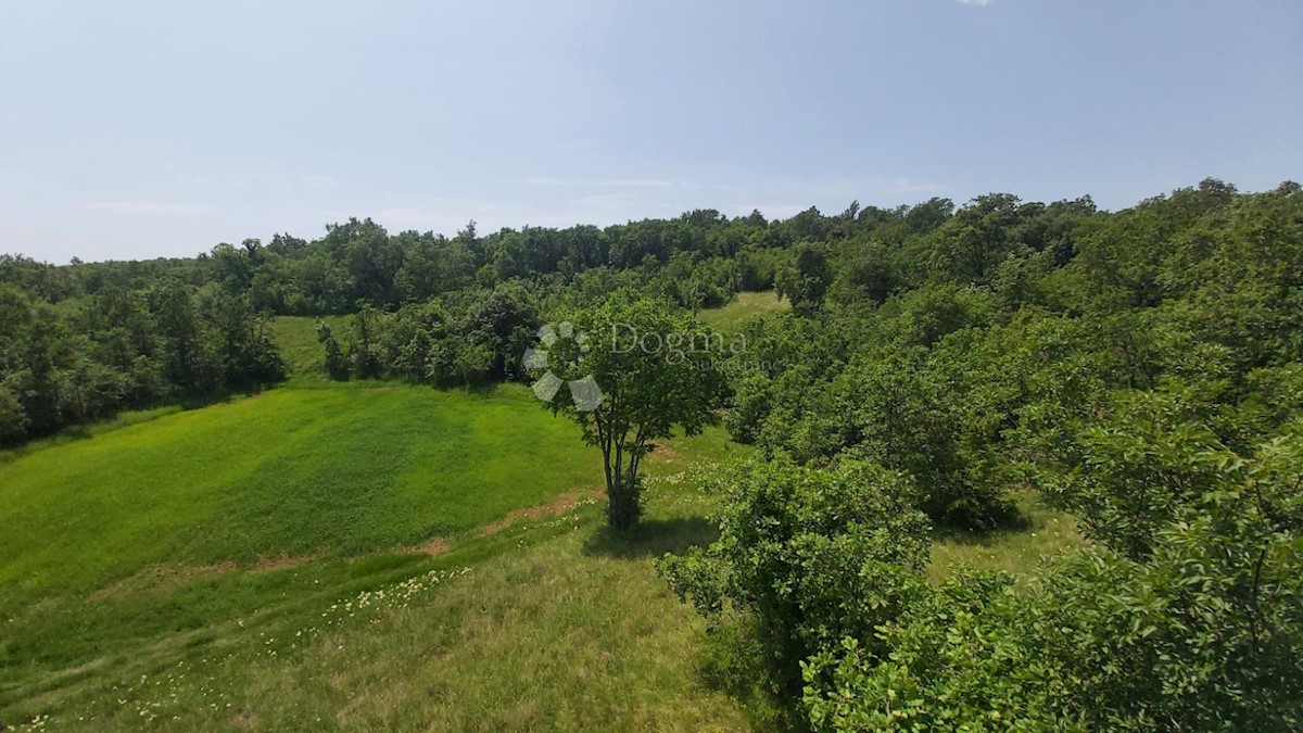 Zemljišče Snašići, Sveta Nedelja, 15.300m2