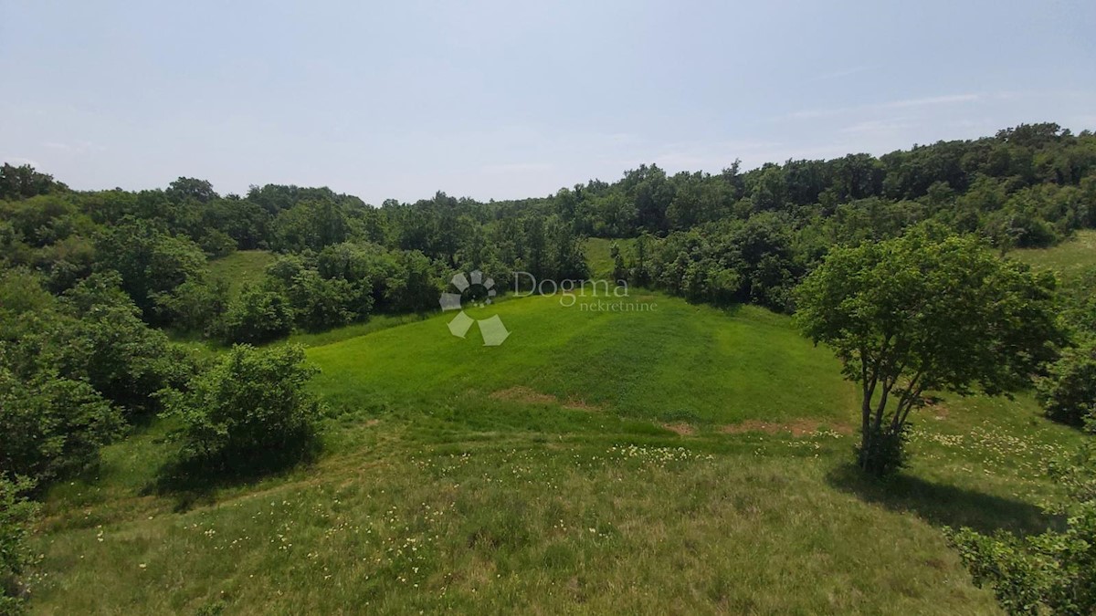 Zemljišče Snašići, Sveta Nedelja, 15.300m2