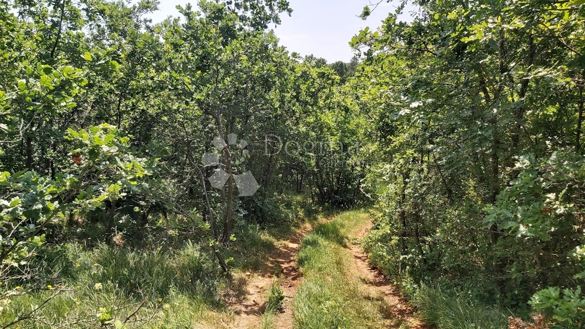 Zemljišče Snašići, Sveta Nedelja, 15.300m2