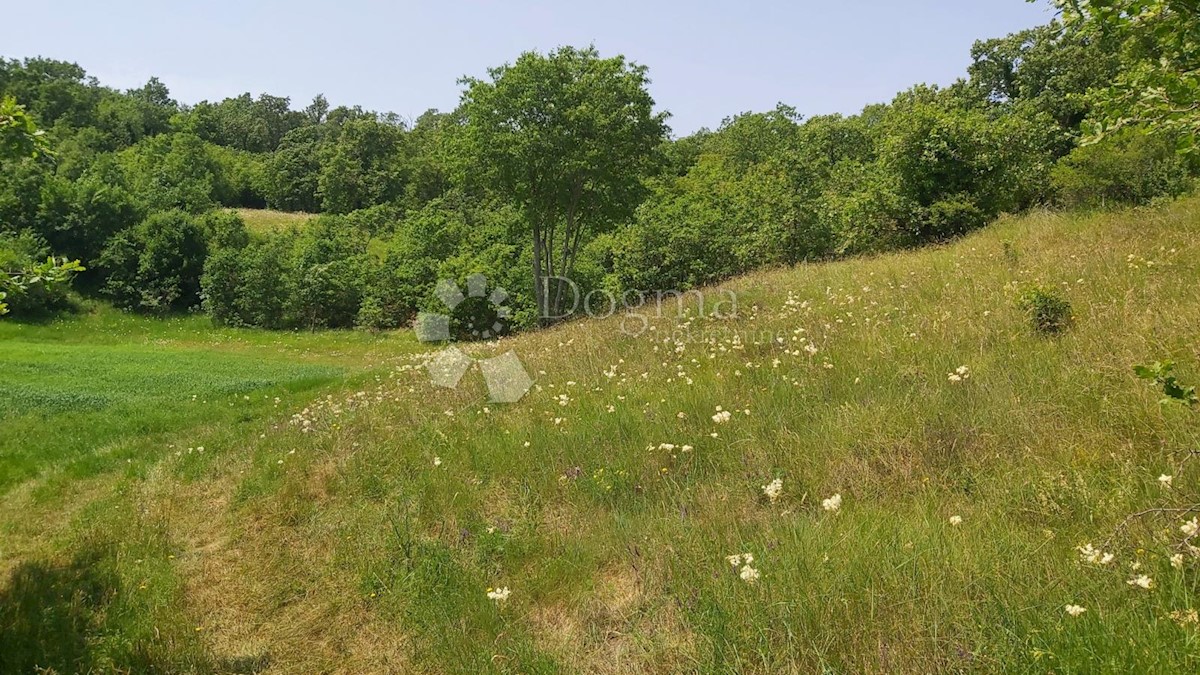 Zemljišče Snašići, Sveta Nedelja, 15.300m2