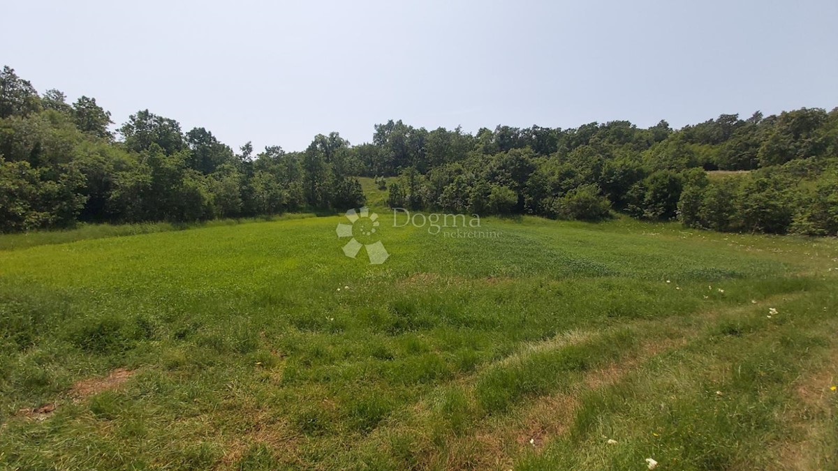 Zemljišče Snašići, Sveta Nedelja, 15.300m2