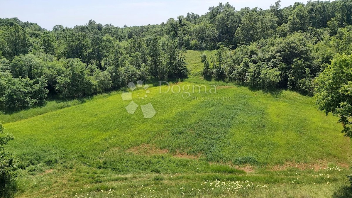 Zemljišče Snašići, Sveta Nedelja, 15.300m2