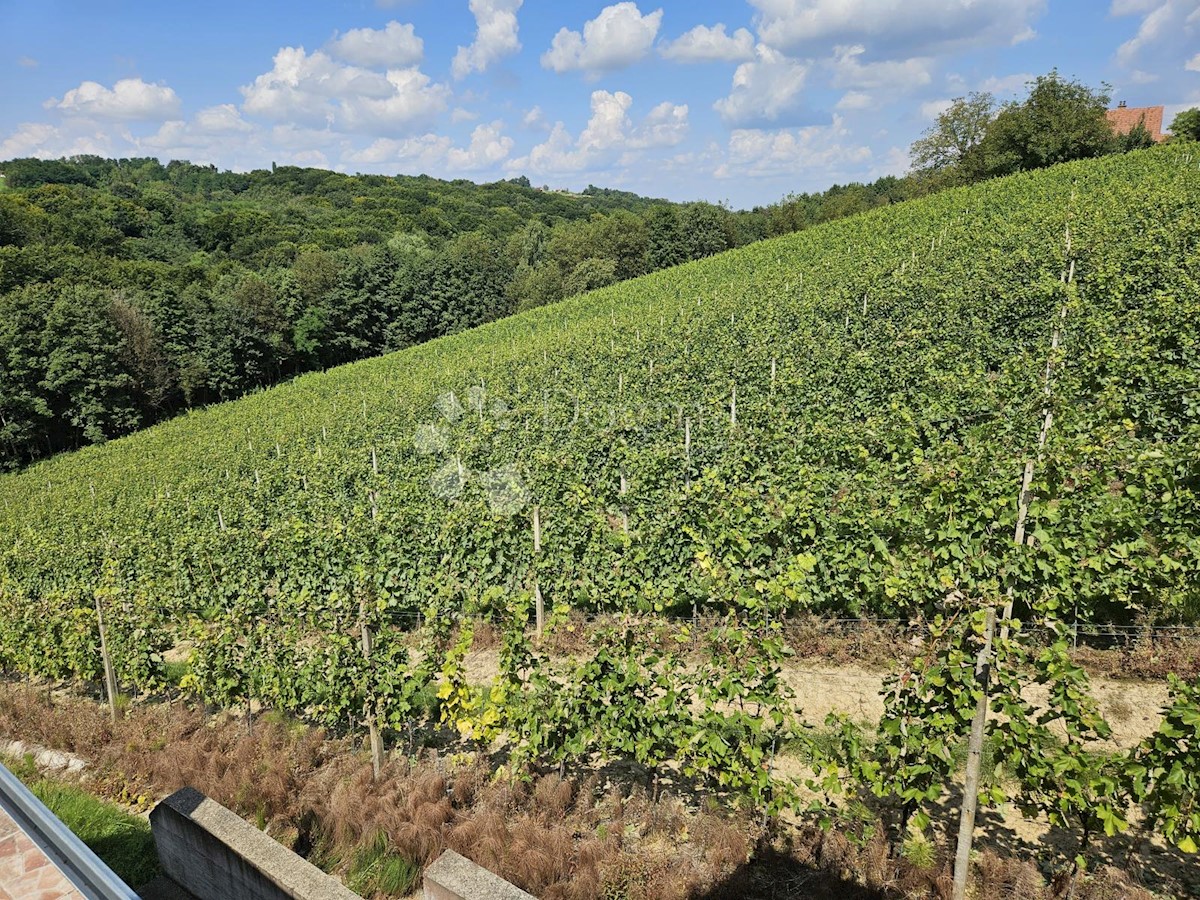 Hiša Jurovčak, Sveti Martin Na Muri, 1.130m2
