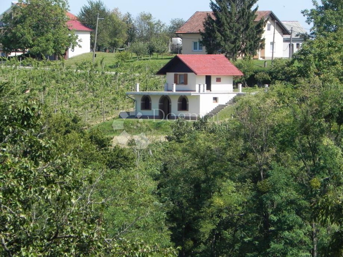 Hiša Jurovčak, Sveti Martin Na Muri, 1.130m2