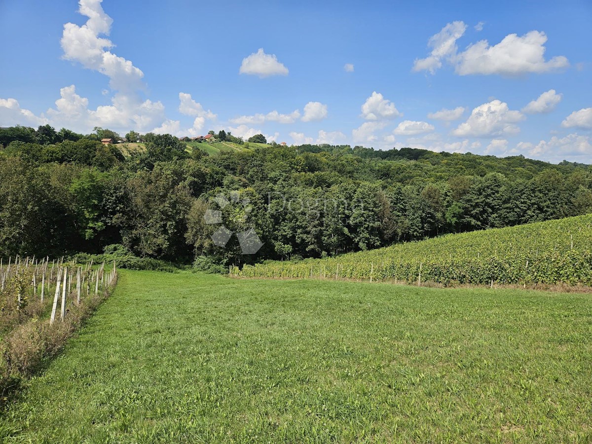 Hiša Jurovčak, Sveti Martin Na Muri, 1.130m2