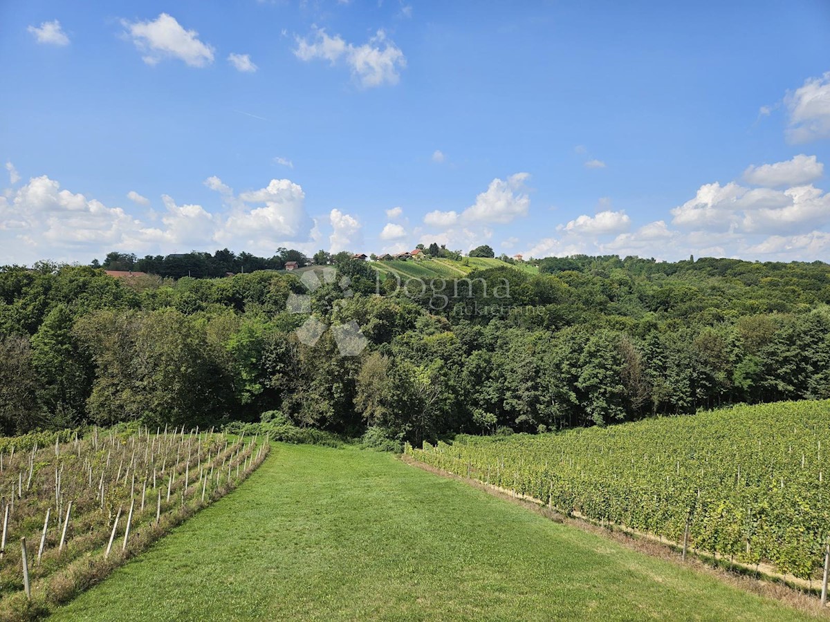 Hiša Jurovčak, Sveti Martin Na Muri, 1.130m2