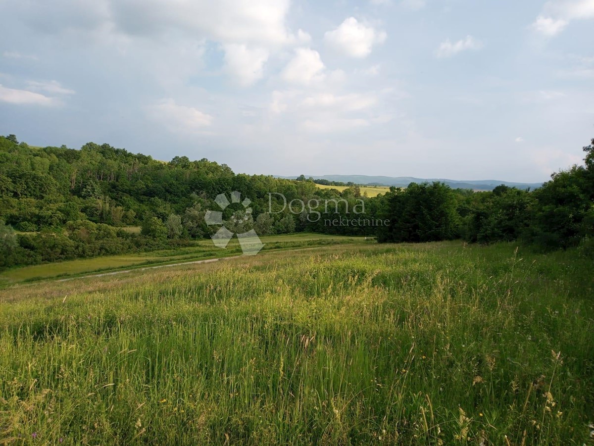 Zemljišče Nova Ljeskovica, Čaglin, 12.033m2